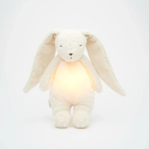 Moonie bunny | Polar