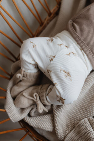 Broekje | Rib walvis